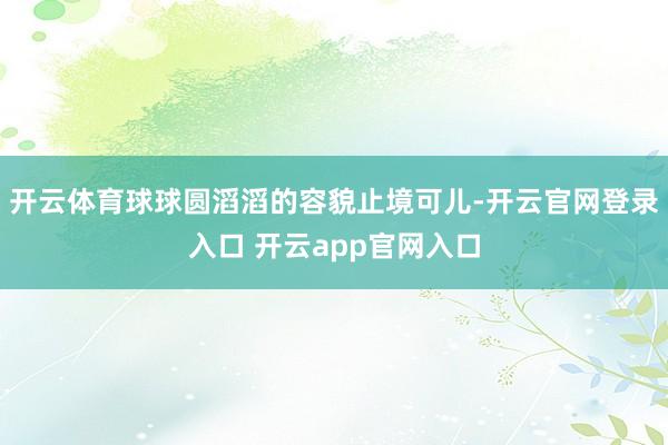 开云体育球球圆滔滔的容貌止境可儿-开云官网登录入口 开云app官网入口