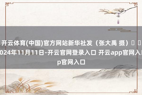 开云体育(中国)官方网站新华社发（张大禹 摄）  2024年11月11日-开云官网登录入口 开云app官网入口