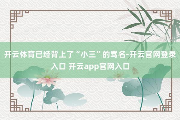 开云体育已经背上了“小三”的骂名-开云官网登录入口 开云app官网入口
