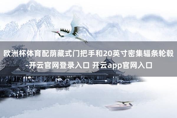 欧洲杯体育配荫藏式门把手和20英寸密集辐条轮毂-开云官网登录入口 开云app官网入口