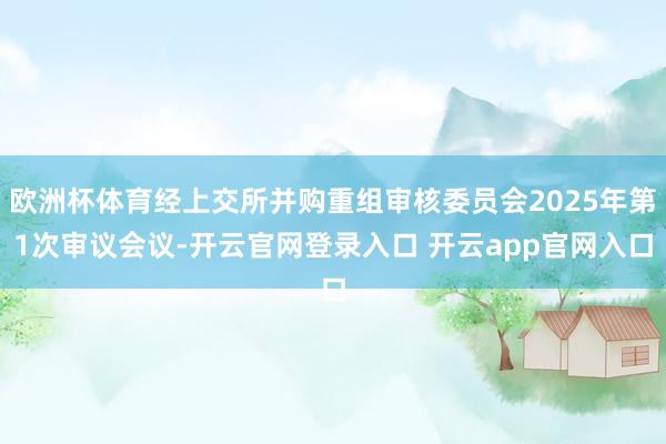 欧洲杯体育经上交所并购重组审核委员会2025年第1次审议会议-开云官网登录入口 开云app官网入口
