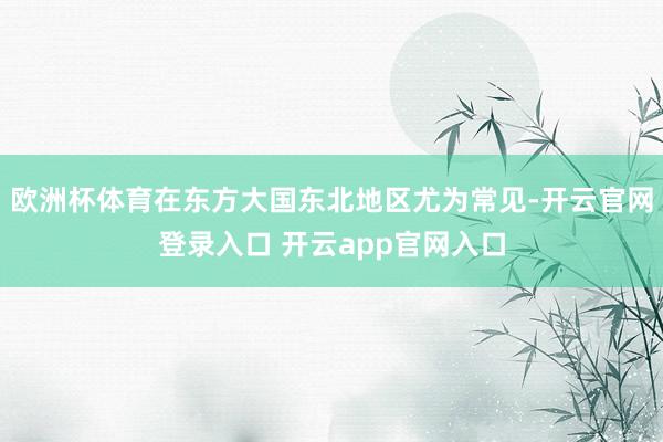 欧洲杯体育在东方大国东北地区尤为常见-开云官网登录入口 开云app官网入口