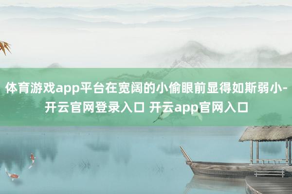 体育游戏app平台在宽阔的小偷眼前显得如斯弱小-开云官网登录入口 开云app官网入口