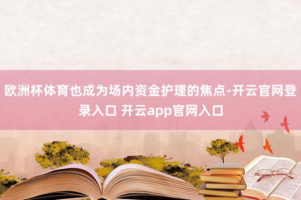 欧洲杯体育也成为场内资金护理的焦点-开云官网登录入口 开云app官网入口